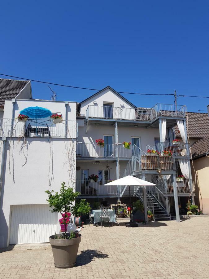 Au Gre De L'Ill 'L'Ill' Horbourg Exterior foto